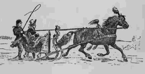 Horse sleigh